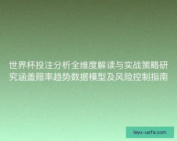 世界杯投注分析全维度解读与实战策略研究涵盖赔率趋势数据模型及风险控制指南