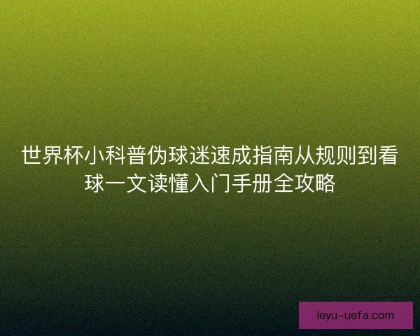 世界杯小科普伪球迷速成指南从规则到看球一文读懂入门手册全攻略
